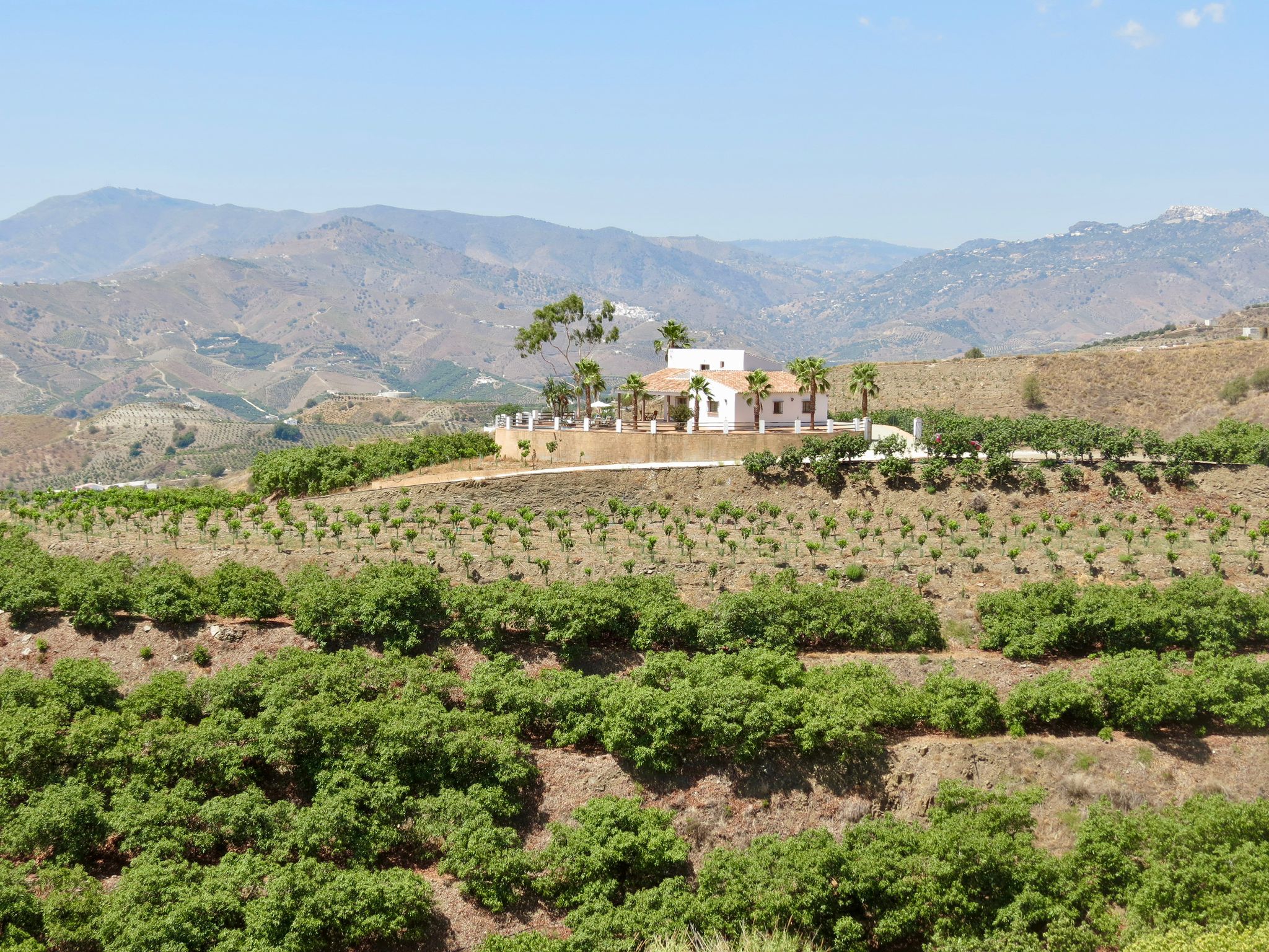 WhatsApp Image 2025-11-09 at 16.47.04 (3)