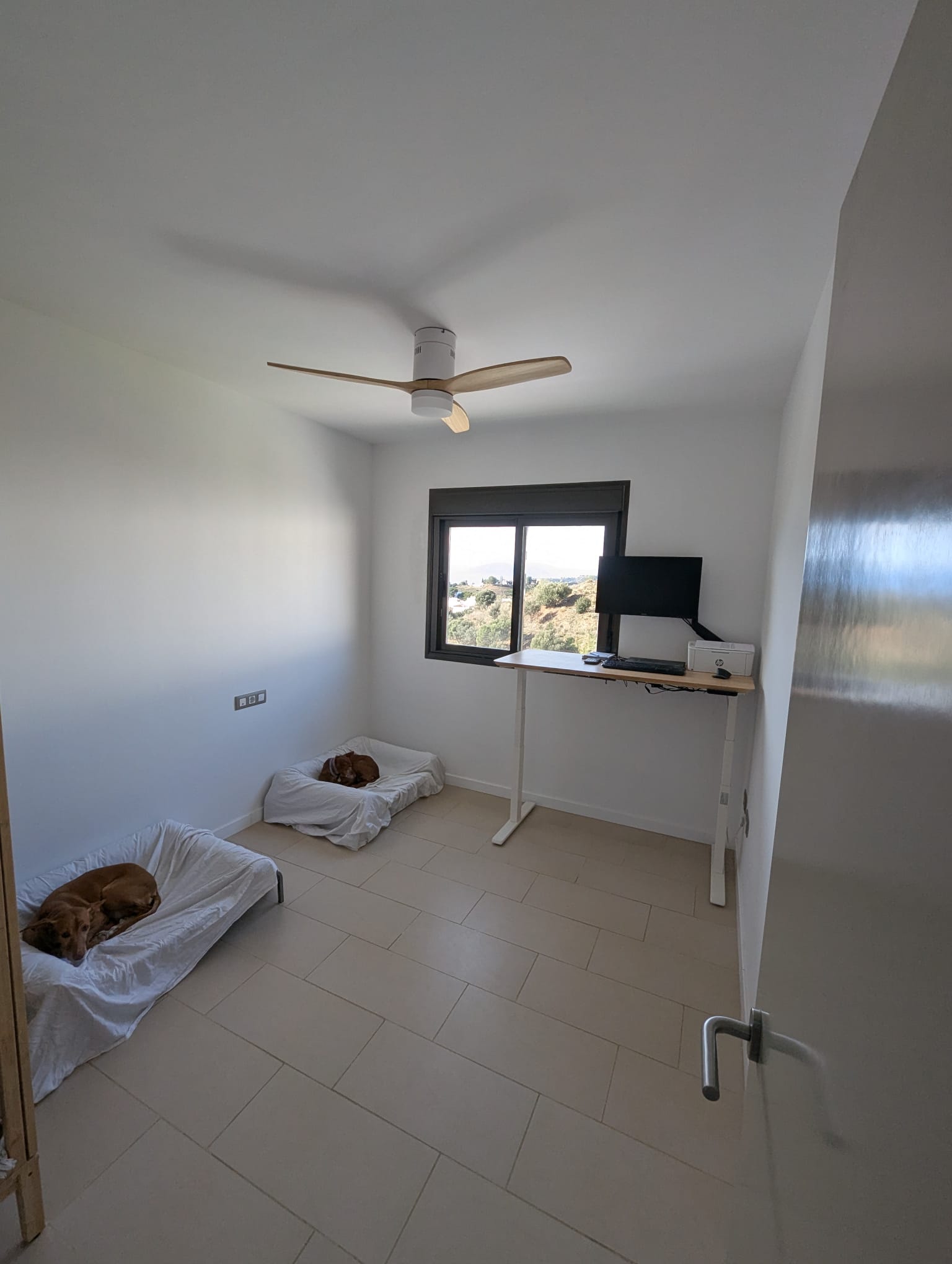 WhatsApp Image 2026-01-20 at 16.52.53 (3)