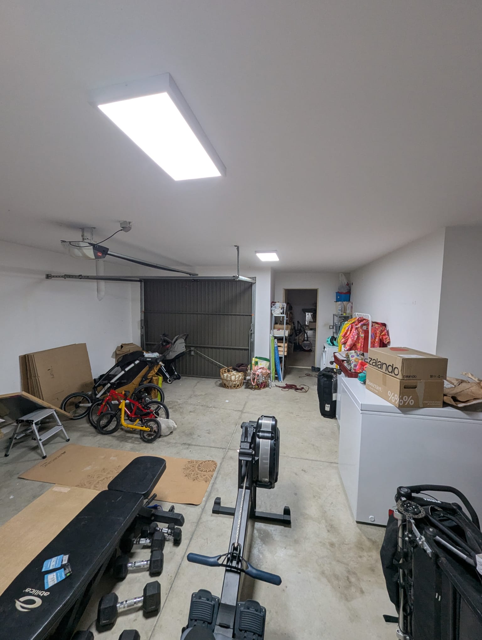 WhatsApp Image 2026-01-20 at 16.52.53